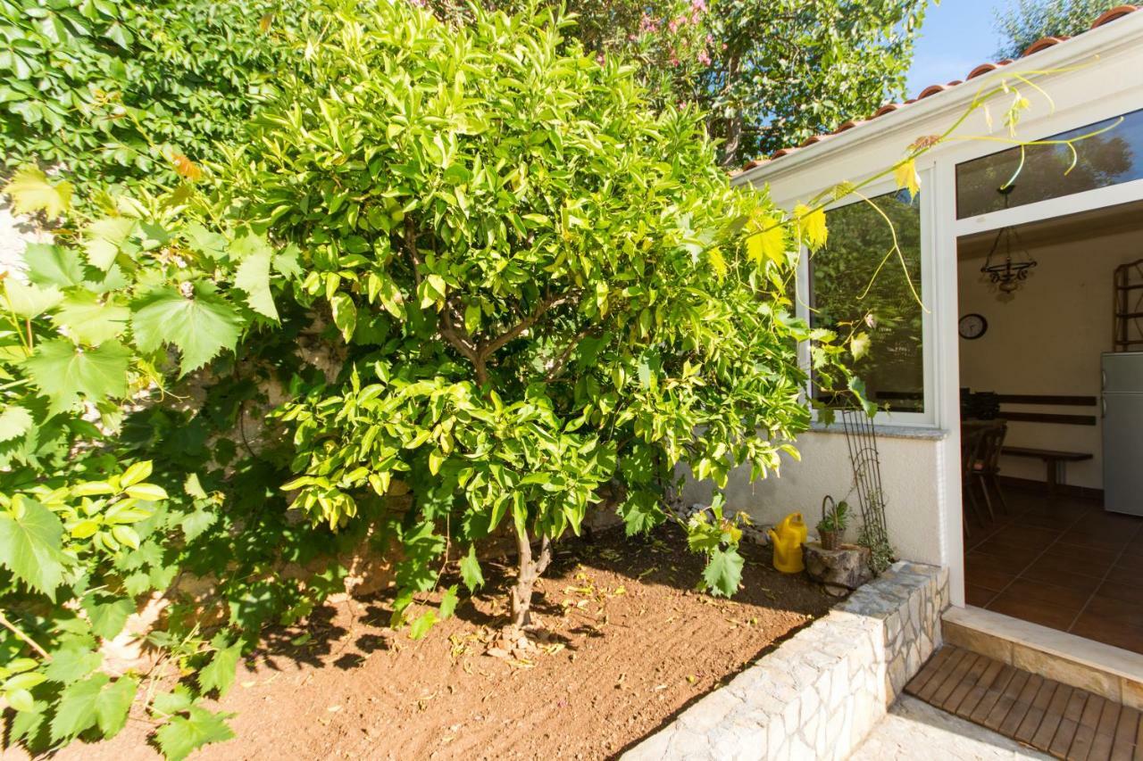 Apartments Bluesky Τρογκίρ Εξωτερικό φωτογραφία